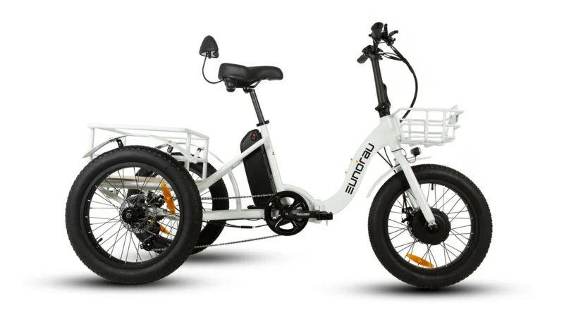 NEW TRIKE WT2 - Image 4