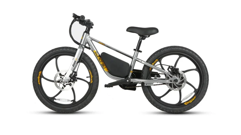 EKIDS-20 2024 - Image 2
