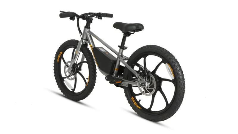 EKIDS-20 2024 - Image 4