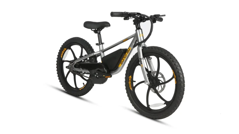 EKIDS-20 2024 - Image 3